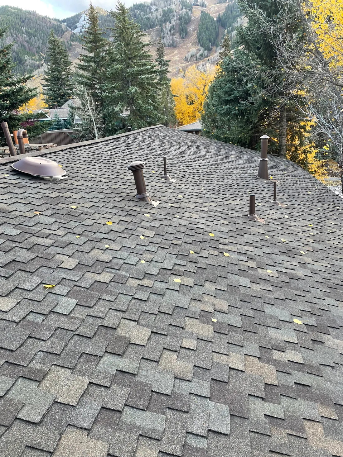 Presidential asphalt shingle roof field with coordinated brown roof penetrations and autumn mountain scenery